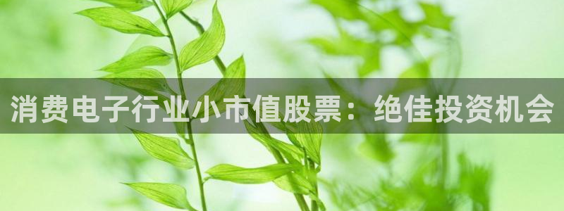 凯发k8旗舰厅app下载|消费电子行业小市值股票：绝佳投资机会